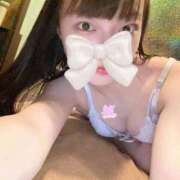 ヒメ日記 2025/12/01 22:16 投稿 あおりんご チューリップ福井本館