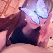 ヒメ日記 2025/12/08 15:44 投稿 あおりんご チューリップ福井本館