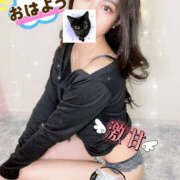 ヒメ日記 2026/02/28 15:30 投稿 ここ abc＋