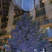 つばき ありがとうございました！ 胡蝶蘭