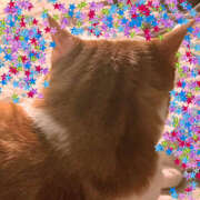 ヒメ日記 2025/11/15 12:47 投稿 らら ハピネス東京