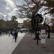 ヒメ日記 2025/11/19 11:47 投稿 らら ハピネス東京