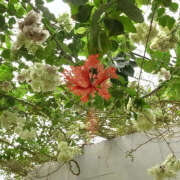 ヒメ日記 2025/11/20 21:17 投稿 らら ハピネス東京