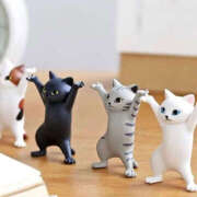 ヒメ日記 2025/11/23 21:47 投稿 らら ハピネス東京