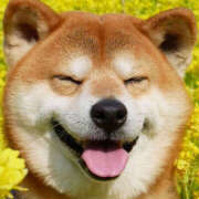 ヒメ日記 2025/11/26 06:29 投稿 らら ハピネス東京