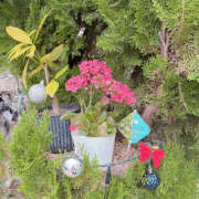 ヒメ日記 2025/12/24 17:57 投稿 らら ハピネス東京