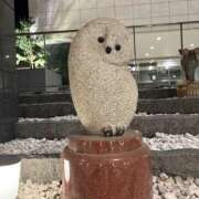 ヒメ日記 2026/01/19 12:37 投稿 らら ハピネス東京