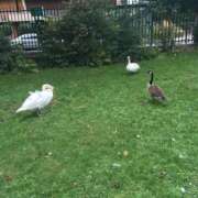 ヒメ日記 2026/01/26 18:14 投稿 らら ハピネス東京