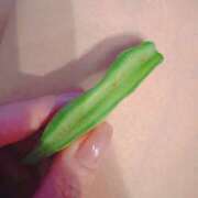 ヒメ日記 2026/01/26 21:17 投稿 らら ハピネス東京