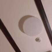 らら おしらせ ハピネス東京