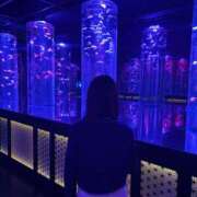 ヒメ日記 2025/12/02 10:42 投稿 せりな あとりえ(ATELIER)