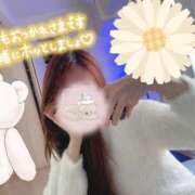 ヒメ日記 2025/12/09 14:02 投稿 せりな あとりえ(ATELIER)