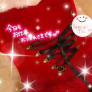 ヒメ日記 2025/12/18 19:46 投稿 せりな あとりえ(ATELIER)