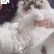 ヒメ日記 2025/12/25 23:26 投稿 多春　たばる 夜這い専門 発情する奥様たち梅田店