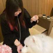 ヒメ日記 2025/12/26 23:56 投稿 多春　たばる 夜這い専門 発情する奥様たち梅田店