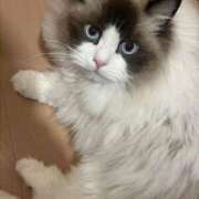 ヒメ日記 2026/04/10 11:01 投稿 多春　たばる 夜這い専門 発情する奥様たち梅田店