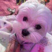 ヒメ日記 2026/02/24 18:51 投稿 ゆゆ 女の子がセルフで撮影する店！！成田デリヘル『生パネル』伝説