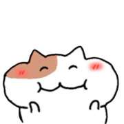 ヒメ日記 2025/12/28 11:29 投稿 れぜ スピードエコ日本橋店