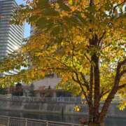 柚（ユズ） きれーい アバンチュール(五反田)