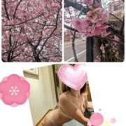 ヒメ日記 2026/03/06 11:01 投稿 碧-あお 熟女10000円デリヘル 川崎