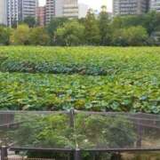 ともさか りえ ご縁🍀 熟女・人妻マダム宮殿