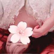 ヒメ日記 2026/04/11 15:30 投稿 みつり 新宿プチドール