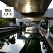 ヒメ日記 2025/11/14 10:30 投稿 碧音 熟女の風俗最終章 横浜本店