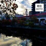 ヒメ日記 2025/11/14 16:40 投稿 碧音 熟女の風俗最終章 横浜本店