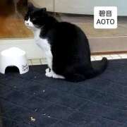 ヒメ日記 2025/11/14 16:56 投稿 碧音 熟女の風俗最終章 横浜本店