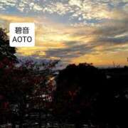 ヒメ日記 2025/11/14 17:44 投稿 碧音 熟女の風俗最終章 横浜本店