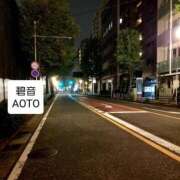 ヒメ日記 2025/11/14 21:55 投稿 碧音 熟女の風俗最終章 横浜本店