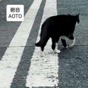 ヒメ日記 2025/11/14 22:54 投稿 碧音 熟女の風俗最終章 横浜本店