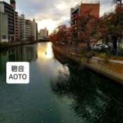 ヒメ日記 2025/11/15 02:34 投稿 碧音 熟女の風俗最終章 横浜本店