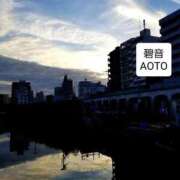 ヒメ日記 2025/11/15 04:44 投稿 碧音 熟女の風俗最終章 横浜本店