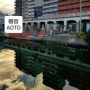 ヒメ日記 2025/11/16 16:58 投稿 碧音 熟女の風俗最終章 横浜本店