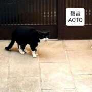 ヒメ日記 2025/11/16 21:33 投稿 碧音 熟女の風俗最終章 横浜本店