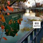 ヒメ日記 2025/11/17 05:54 投稿 碧音 熟女の風俗最終章 横浜本店