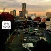 ヒメ日記 2025/11/18 11:30 投稿 碧音 熟女の風俗最終章 横浜本店