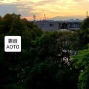 ヒメ日記 2025/11/18 16:34 投稿 碧音 熟女の風俗最終章 横浜本店