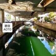 ヒメ日記 2025/11/19 15:50 投稿 碧音 熟女の風俗最終章 横浜本店