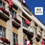 ヒメ日記 2025/11/19 16:34 投稿 碧音 熟女の風俗最終章 横浜本店