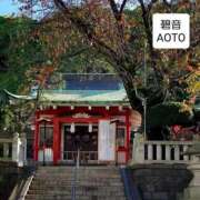 ヒメ日記 2025/11/20 05:54 投稿 碧音 熟女の風俗最終章 横浜本店