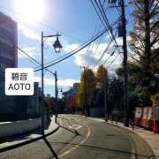 ヒメ日記 2025/11/20 07:24 投稿 碧音 熟女の風俗最終章 横浜本店