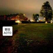 ヒメ日記 2025/11/20 17:44 投稿 碧音 熟女の風俗最終章 横浜本店