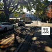 ヒメ日記 2025/11/22 03:34 投稿 碧音 熟女の風俗最終章 横浜本店