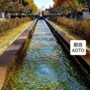 ヒメ日記 2025/11/22 04:24 投稿 碧音 熟女の風俗最終章 横浜本店