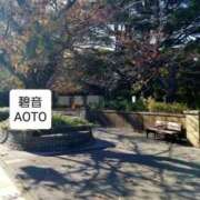 ヒメ日記 2025/11/22 07:35 投稿 碧音 熟女の風俗最終章 横浜本店