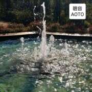 ヒメ日記 2025/11/22 13:44 投稿 碧音 熟女の風俗最終章 横浜本店