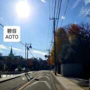 ヒメ日記 2025/11/23 00:13 投稿 碧音 熟女の風俗最終章 横浜本店