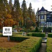 ヒメ日記 2025/11/23 13:57 投稿 碧音 熟女の風俗最終章 横浜本店